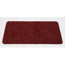 Majestic Deurmat - Antislip Schoonloopmat / droogloopmat - 60 x 100 cm