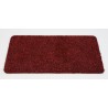 Majestic Deurmat - Antislip Schoonloopmat / droogloopmat - 60 x 100 cm